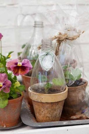 Behälter für Blumen aus Plastikflaschen