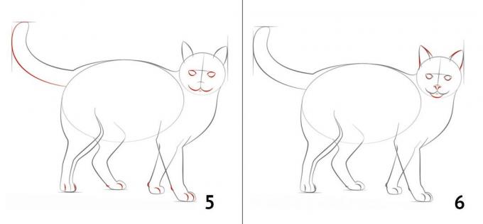 Wie eine Katze zeichnen