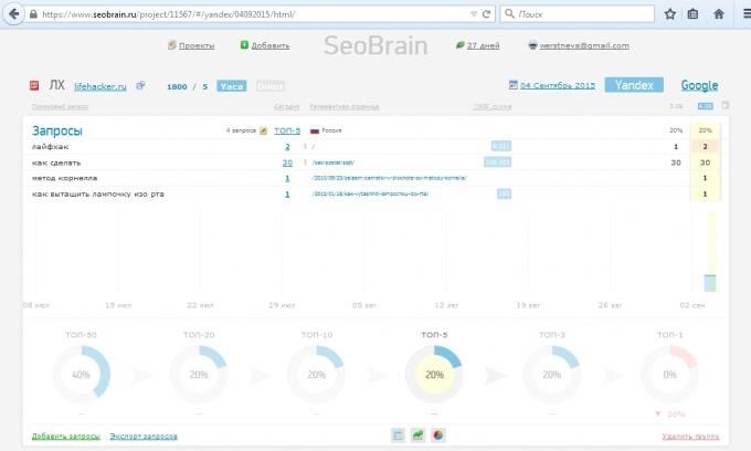Service Übersicht SeoBrain, Projektbericht