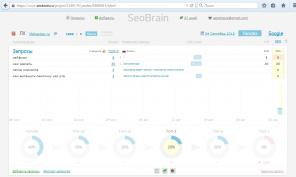 Nirvana für SEOs - SeoBrain